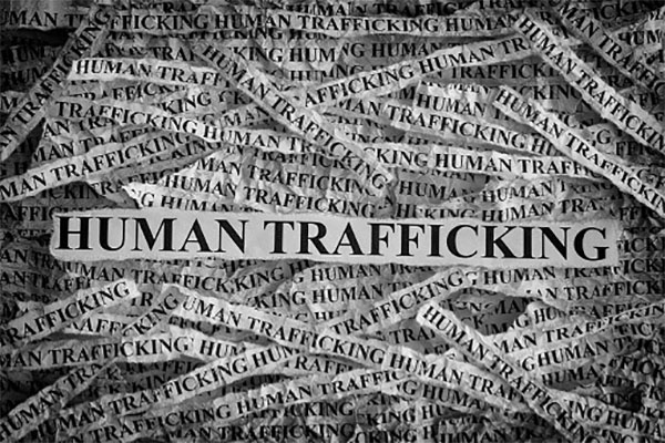 Human Trafficking Human Trafficking. Torn pieces of paper with the words Human Trafficking. Concept Image. Black and White. Closeup.